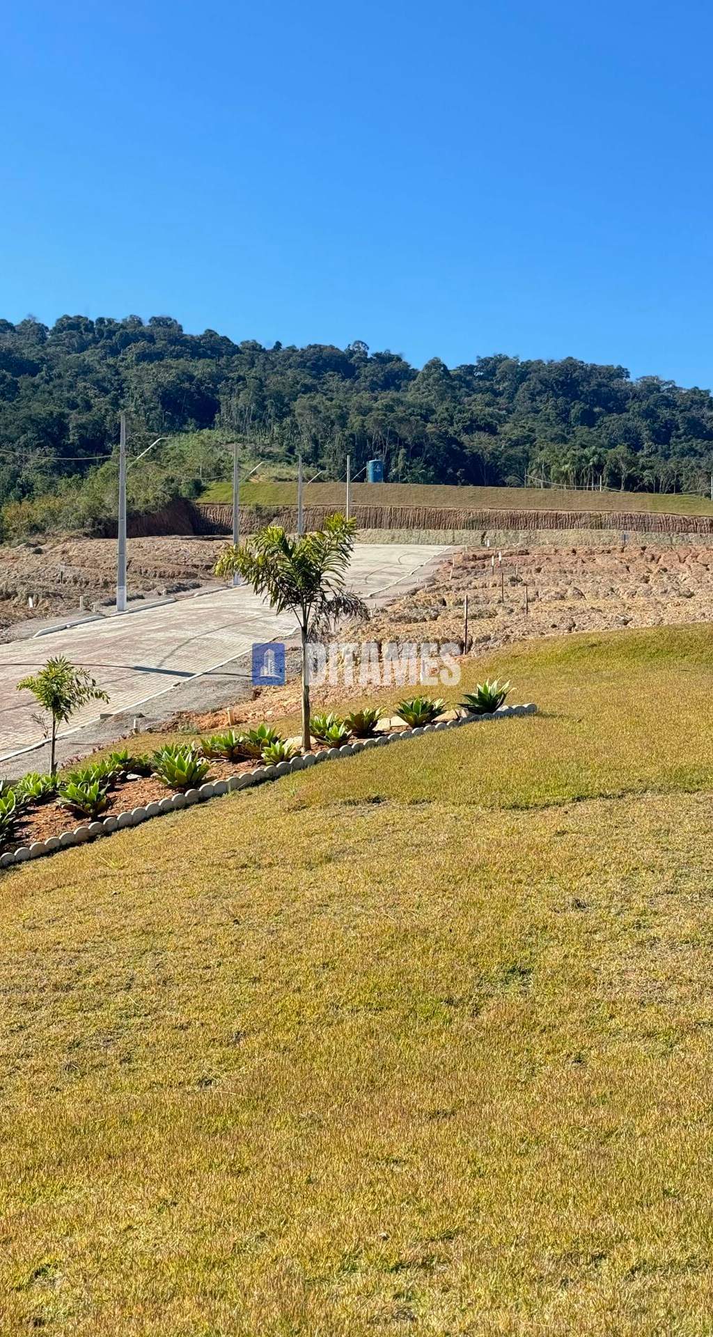 Terreno à venda no bairro Centro em Lontras/SC - 6