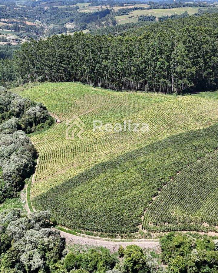 TERRENO À VENDA NO RIBEIRÃO STREY, AURORA-SC - 7