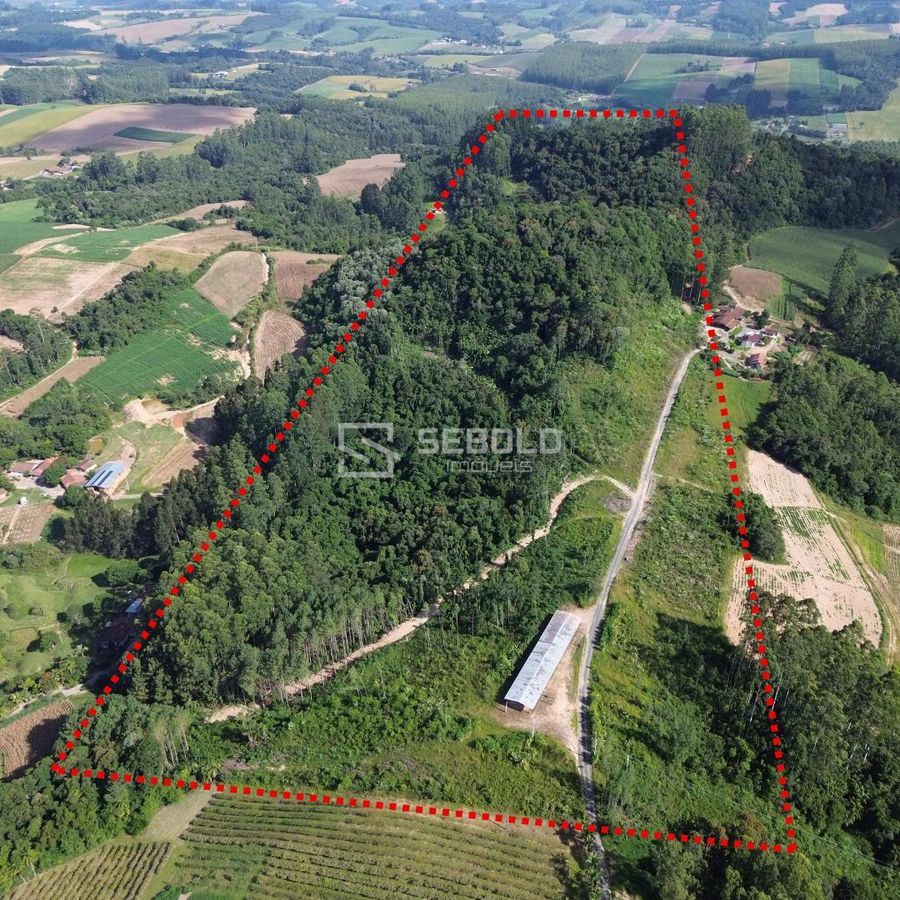Terreno Rural em Nova Itália - Aurora