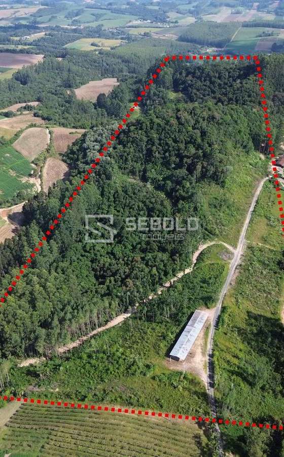 Terreno Rural em Nova Itália - Aurora