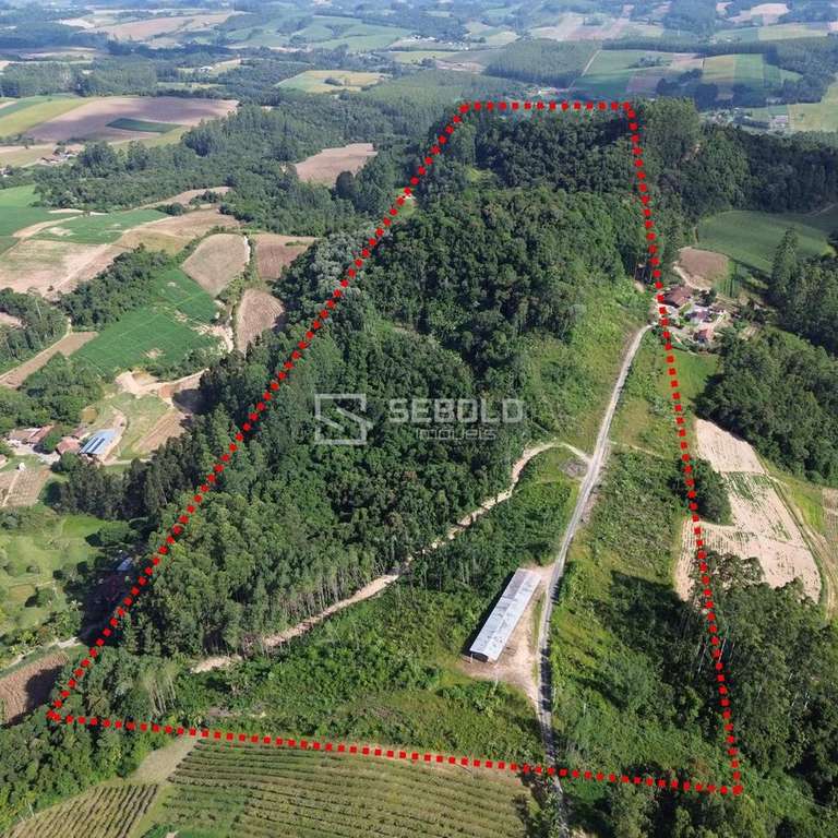Terreno Rural em Nova Itália - Aurora - 1