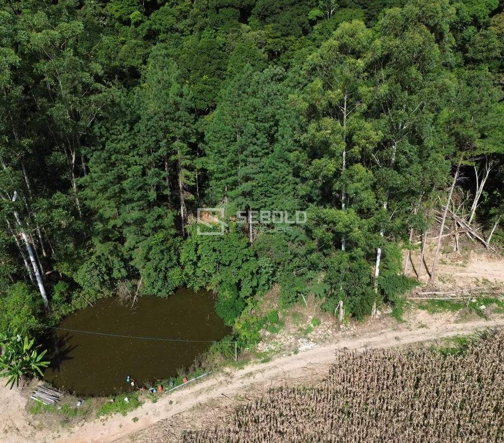 Terreno Rural em Nova Itália - Aurora - 4