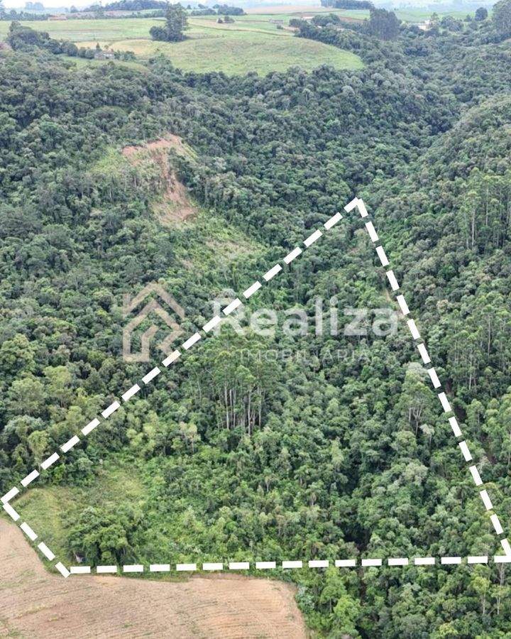 TERRENO À VENDA NO RIO DOS BUGRES, ITUPORANGA - 1