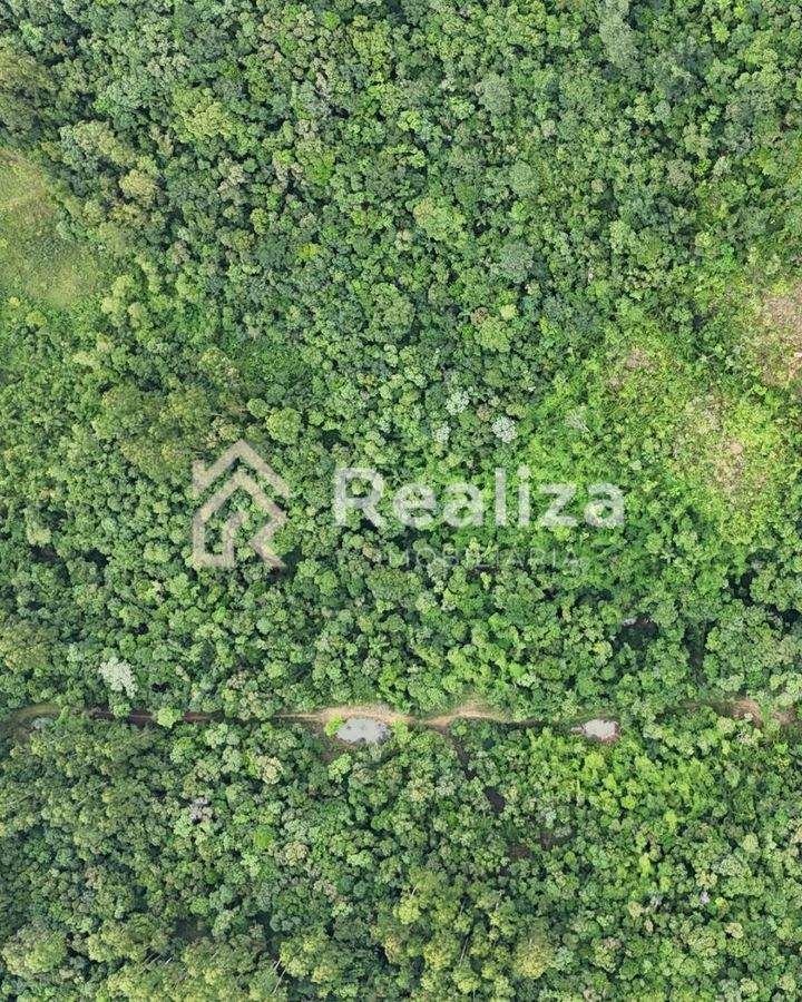 TERRENO À VENDA NO RIO DOS BUGRES, ITUPORANGA - 3