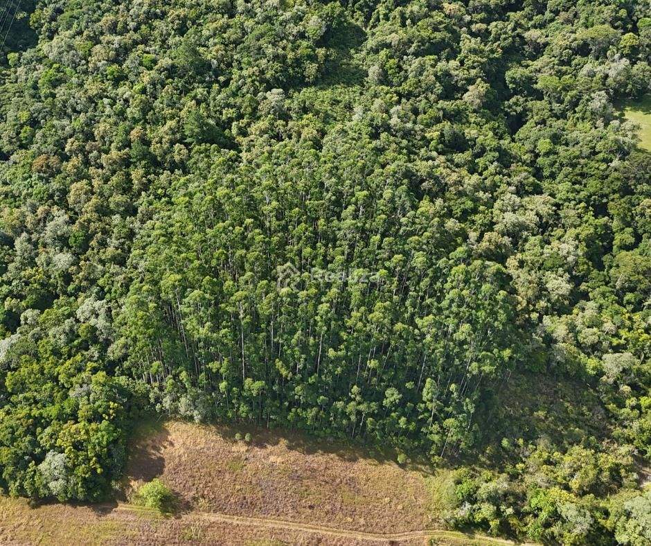 SÍTIO À VENDA 🌿 📍 Ribeirão do Tigre – Aurora - 4