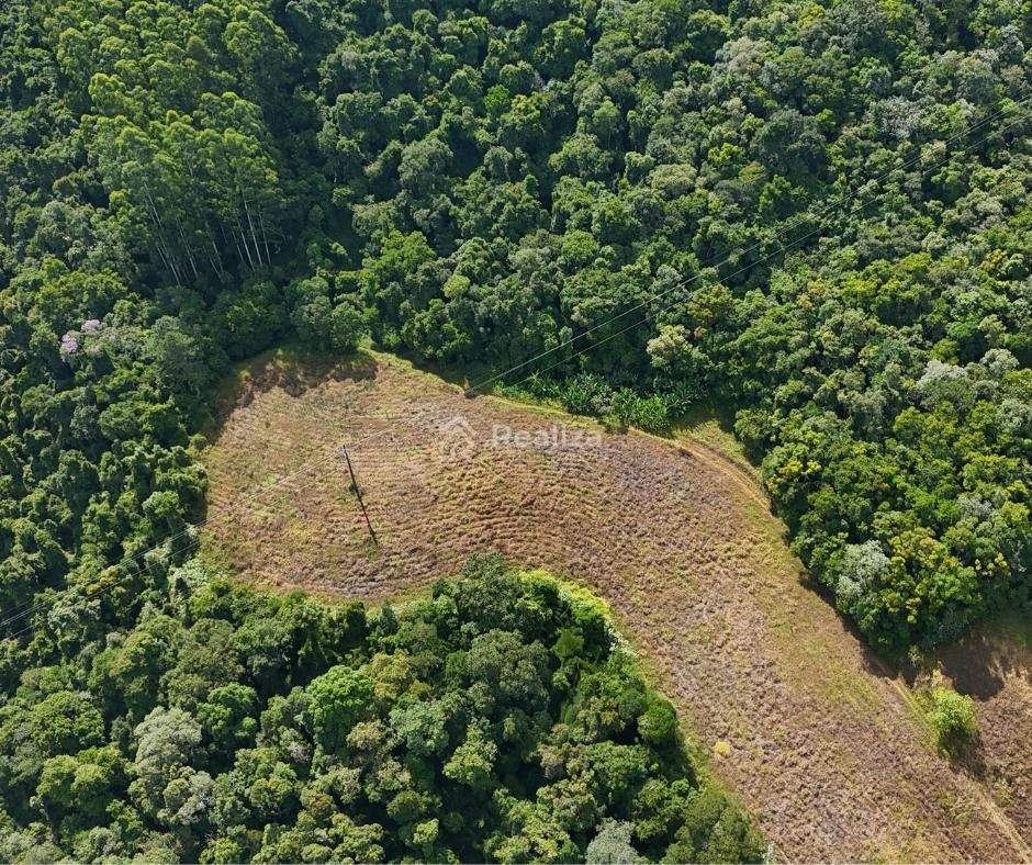 SÍTIO À VENDA 🌿 📍 Ribeirão do Tigre – Aurora - 5