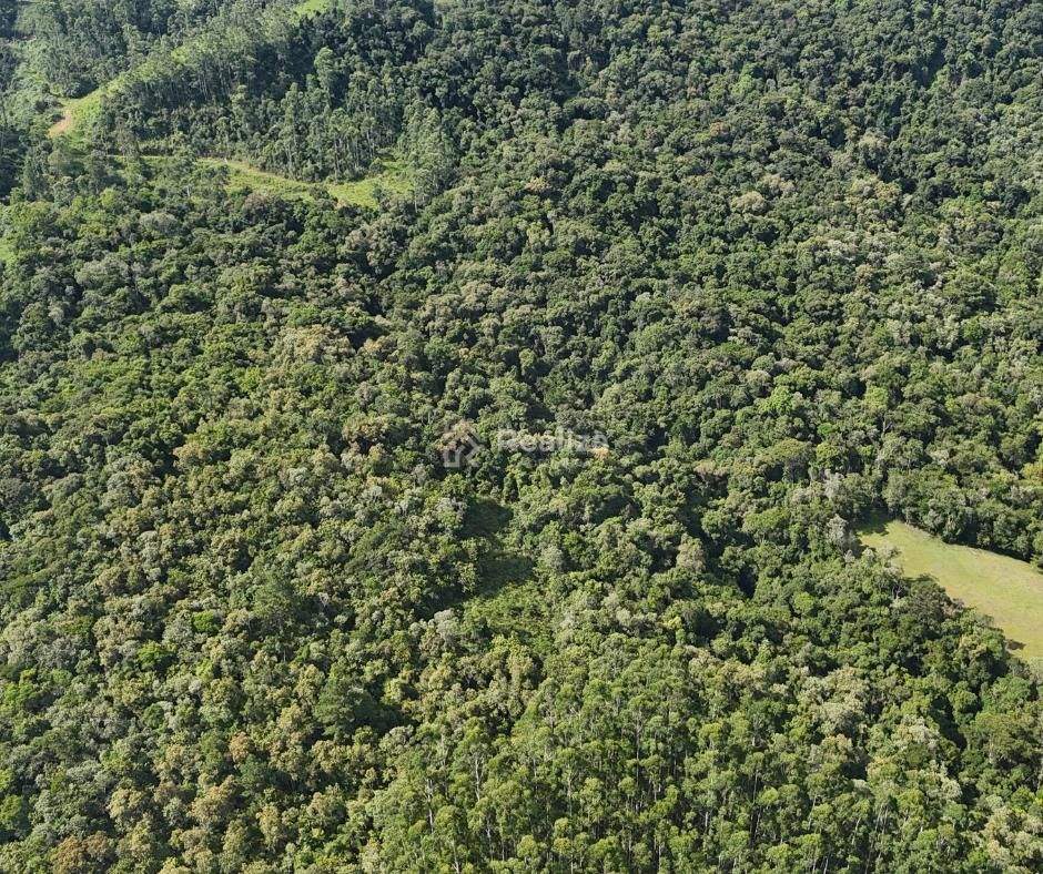 SÍTIO À VENDA 🌿 📍 Ribeirão do Tigre – Aurora - 6