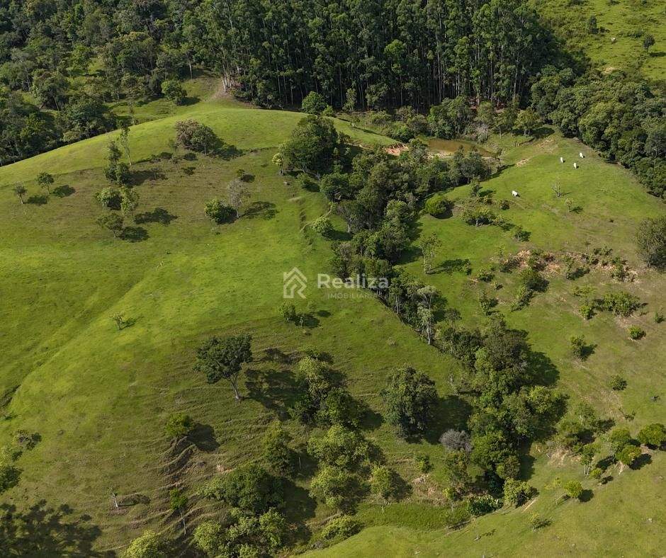 SÍTIO À VENDA 🌿 📍 Ribeirão do Tigre – Aurora - 9