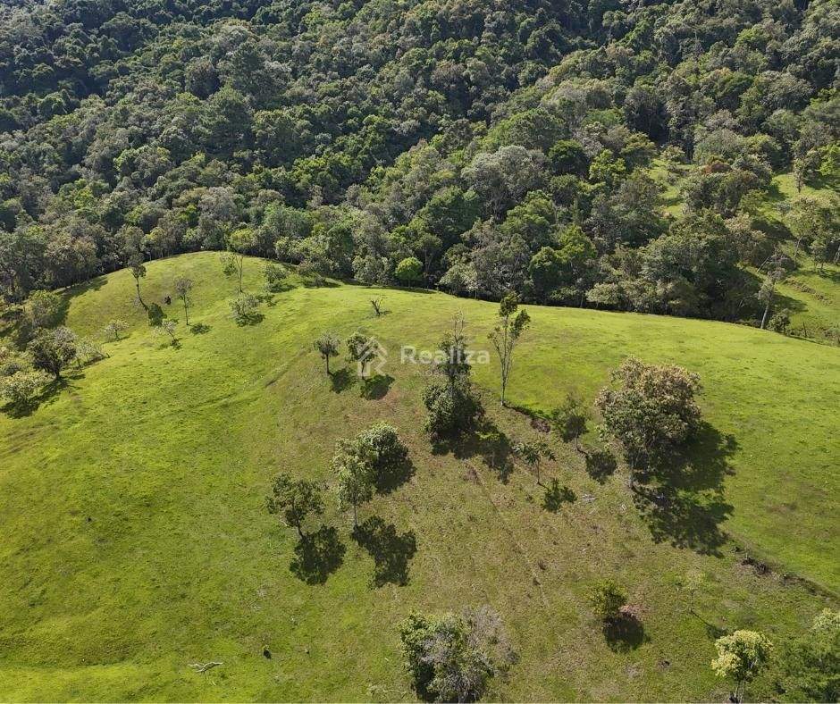 SÍTIO À VENDA 🌿 📍 Ribeirão do Tigre – Aurora - 10