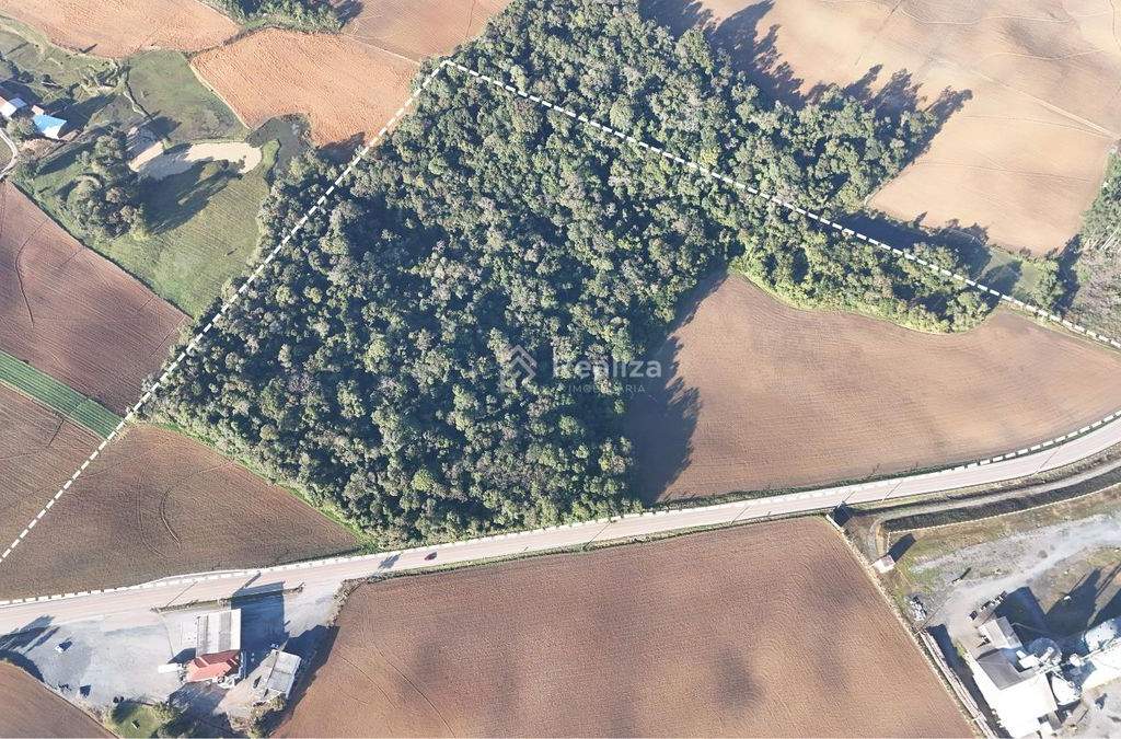 Terreno à venda em Bela Vista – Ituporanga! 🌿 Uma excelente oportunidade para quem busca investir no setor agrícola - 1