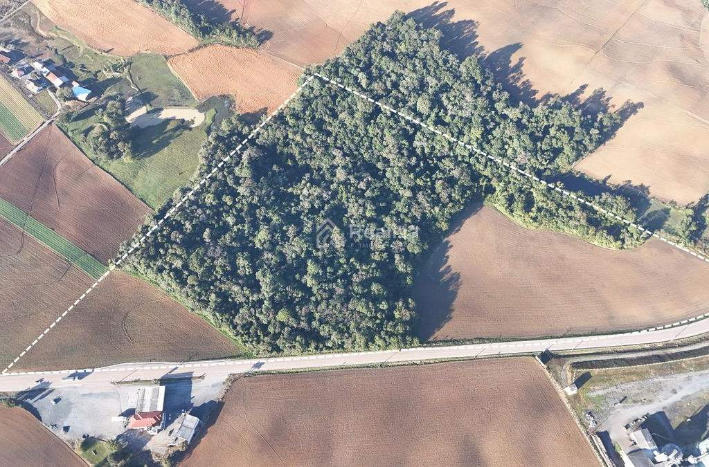 Terreno à venda em Bela Vista – Ituporanga! 🌿 Uma excelente oportunidade para quem busca investir no setor agrícola - 2