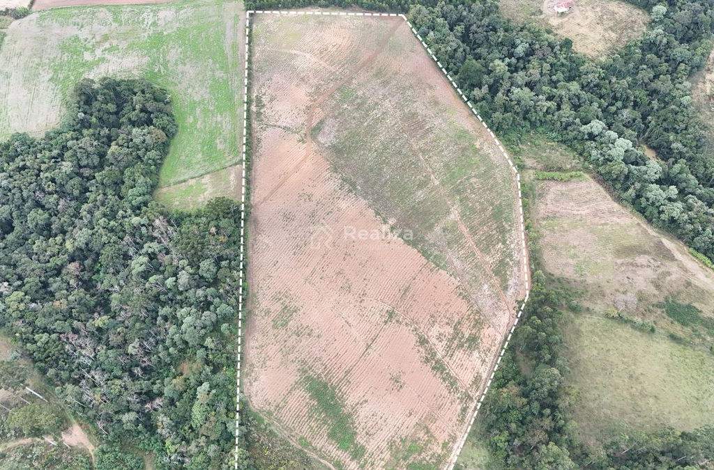 Oportunidade Incrível para Quem Busca Investir no Campo Ou Viver com Mais Tranquilidade em Meio à Natureza! - 8