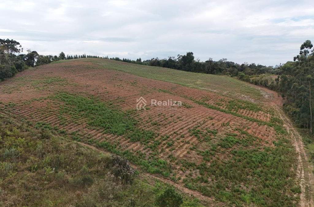 Oportunidade Incrível para Quem Busca Investir no Campo Ou Viver com Mais Tranquilidade em Meio à Natureza! - 11