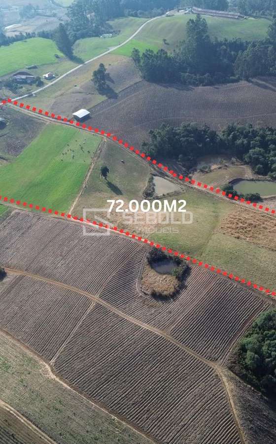Terreno Rural na Localidade Londrina - Petrolândia