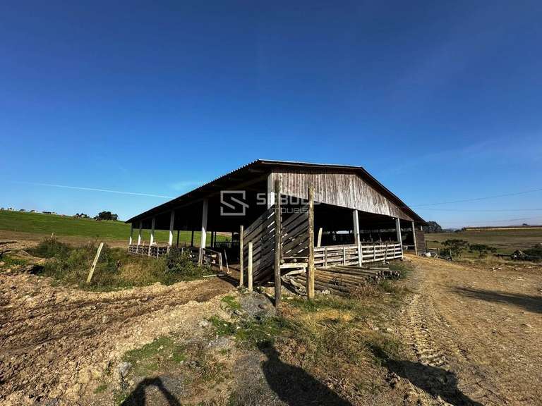 Terreno Rural na Localidade Londrina - Petrolândia - 4