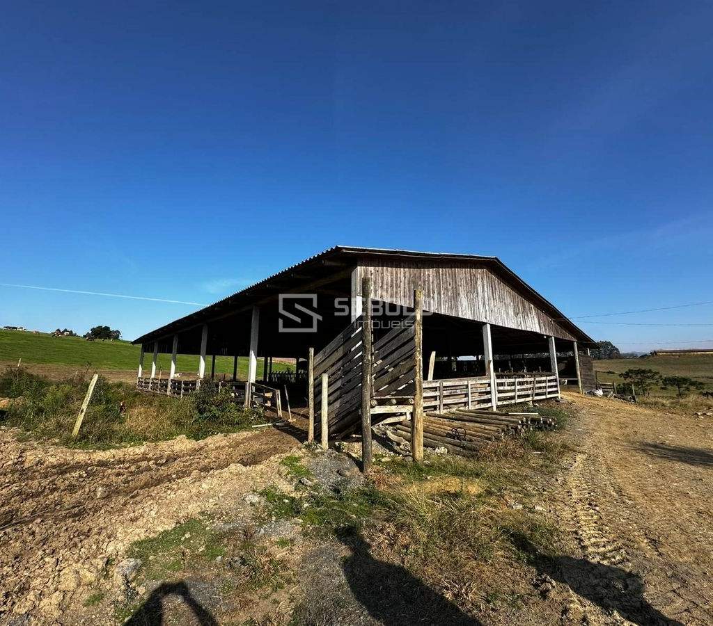Terreno Rural na Localidade Londrina - Petrolândia - 4