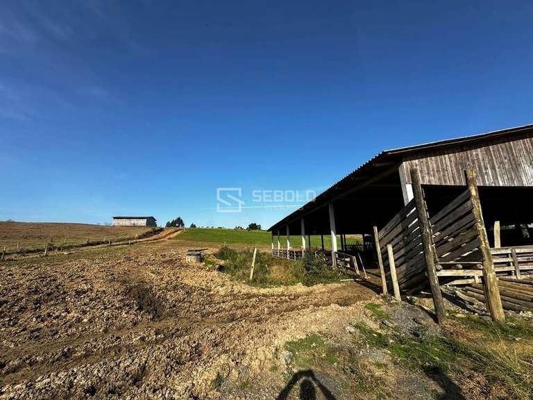 Terreno Rural na Localidade Londrina - Petrolândia - 5
