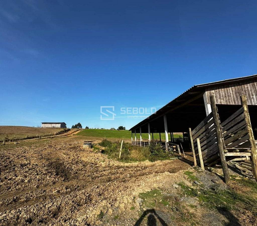 Terreno Rural na Localidade Londrina - Petrolândia - 5