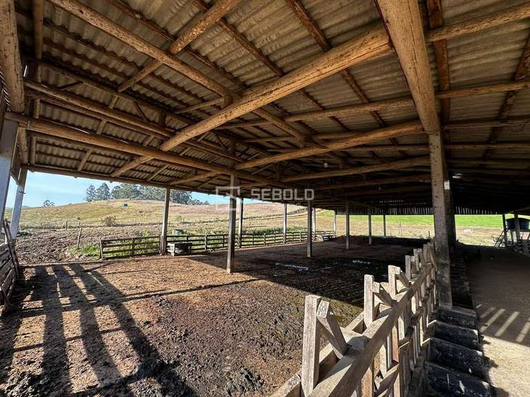 Terreno Rural na Localidade Londrina - Petrolândia - 6