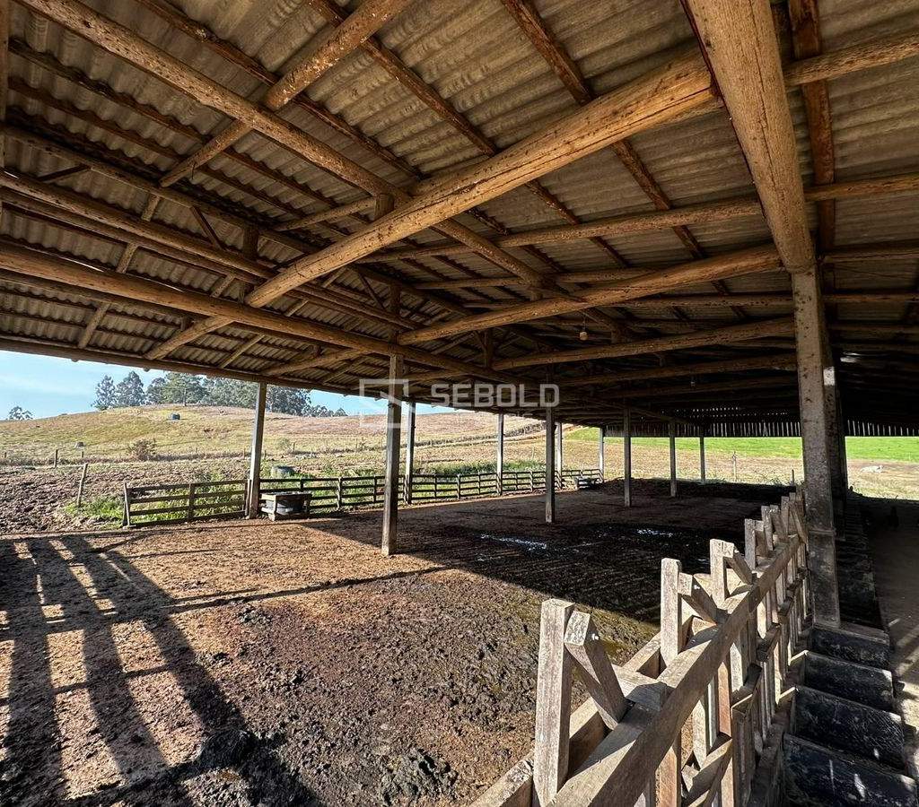 Terreno Rural na Localidade Londrina - Petrolândia - 6