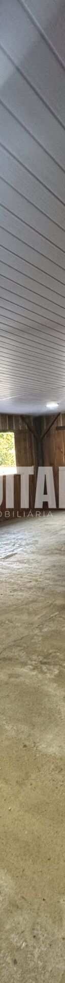Miniatura 14