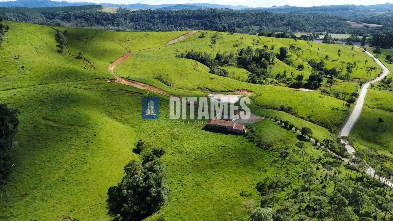 FAZENDA - VENDA - PAPANDUVA