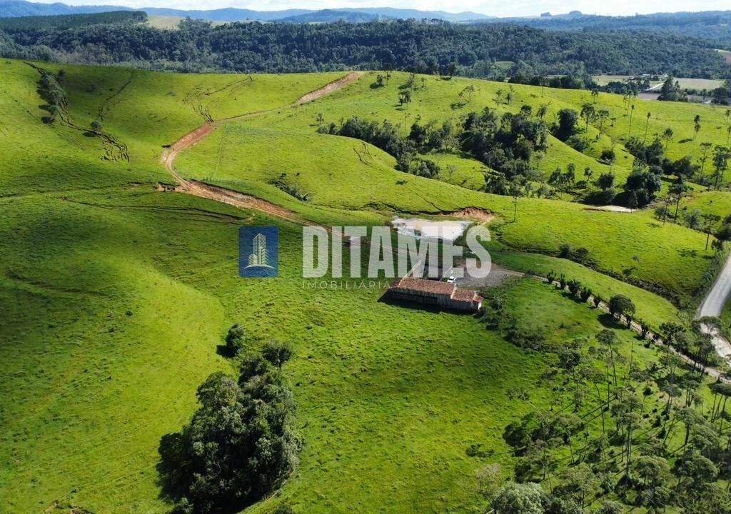 FAZENDA - VENDA - PAPANDUVA - 1