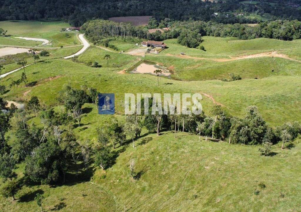 FAZENDA - VENDA - PAPANDUVA - 4