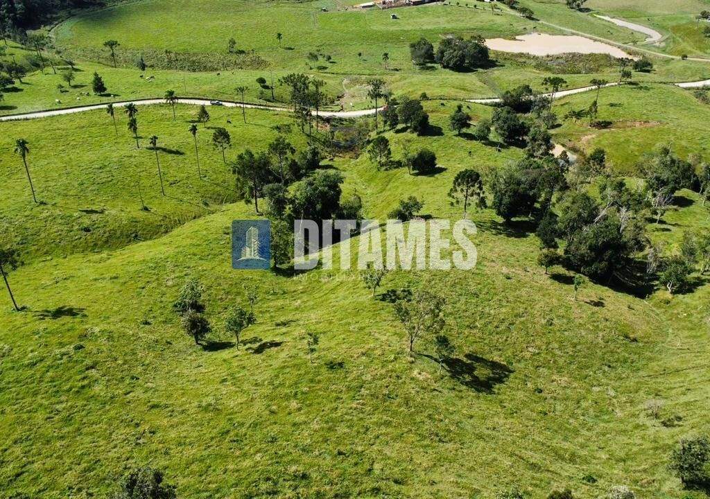 FAZENDA - VENDA - PAPANDUVA - 7