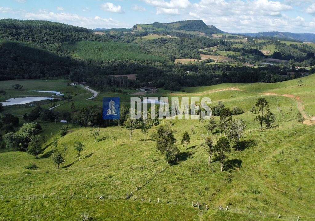 FAZENDA - VENDA - PAPANDUVA - 8