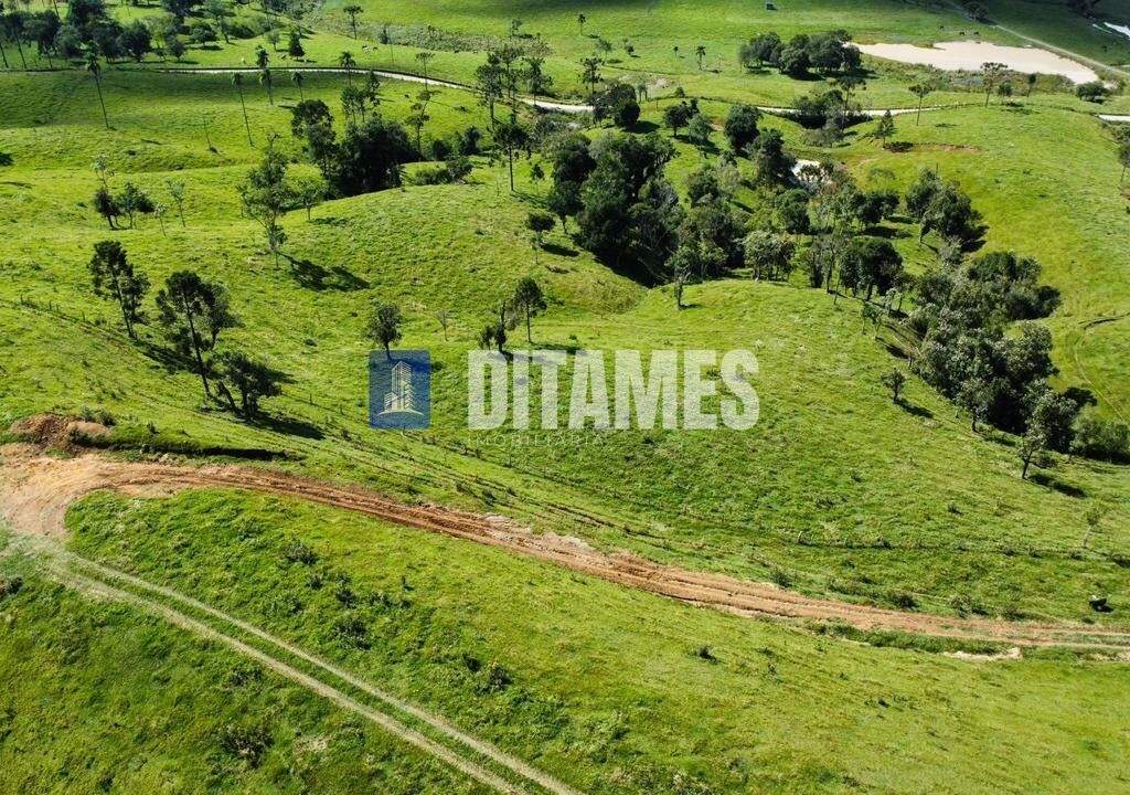 FAZENDA - VENDA - PAPANDUVA - 9