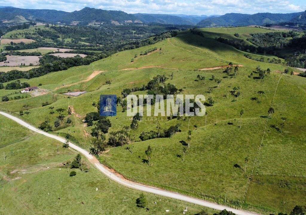 FAZENDA - VENDA - PAPANDUVA - 16
