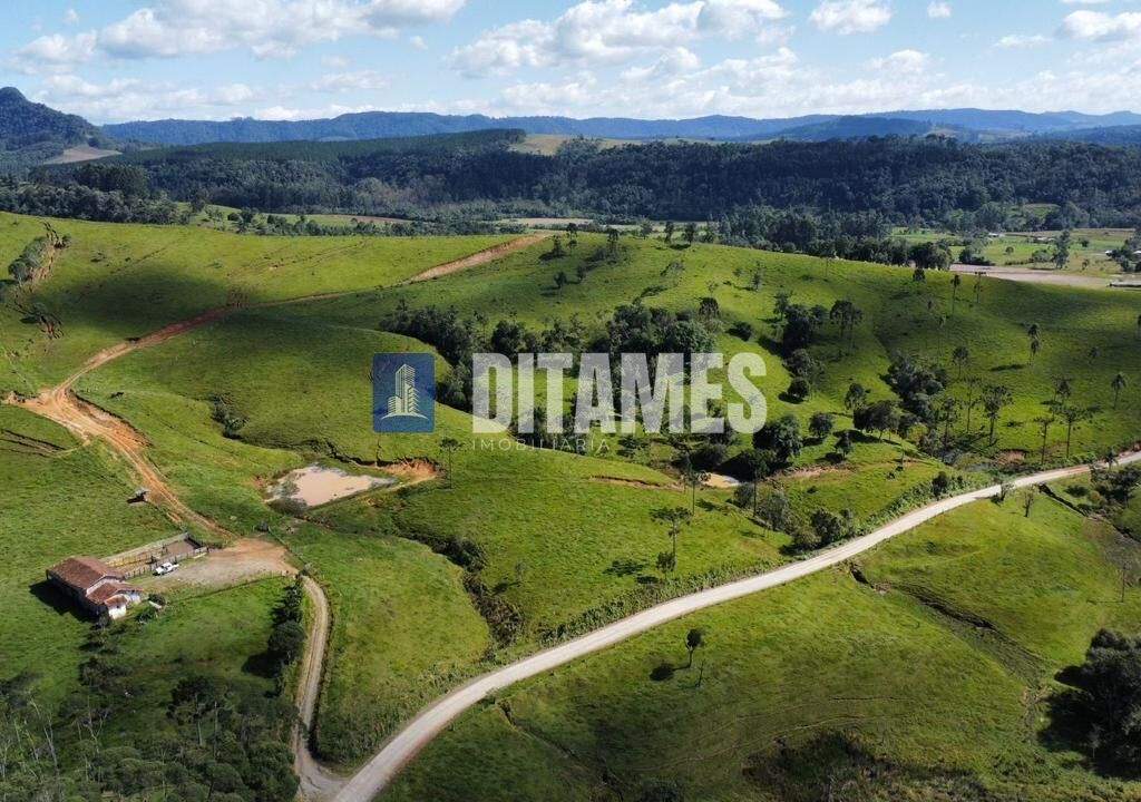 FAZENDA - VENDA - PAPANDUVA - 17