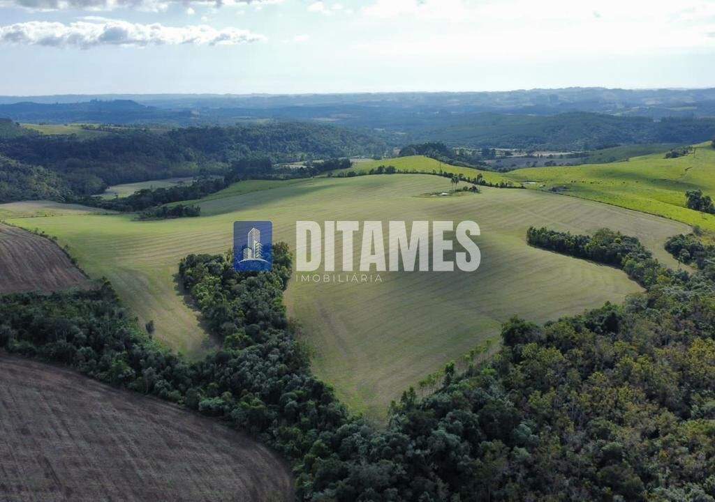 FAZENDA - VENDA - PAPANDUVA - 18