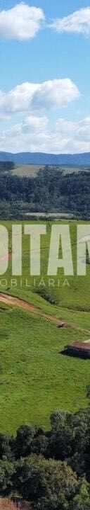 Miniatura 20
