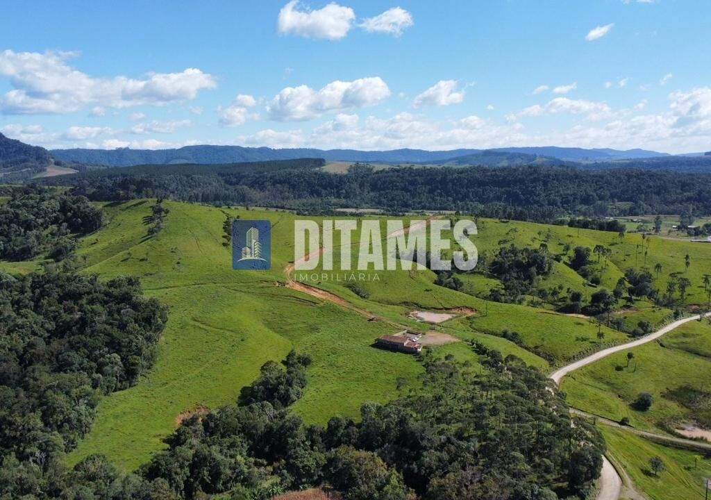 FAZENDA - VENDA - PAPANDUVA - 20