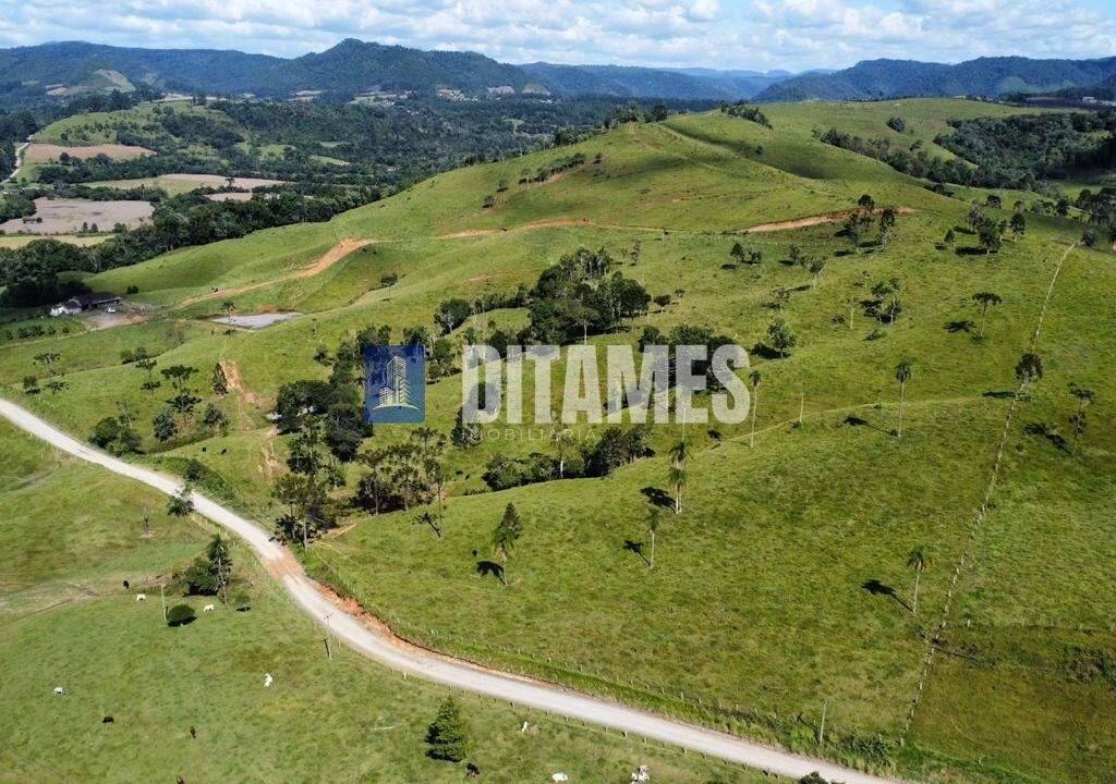 FAZENDA - VENDA - PAPANDUVA - 23