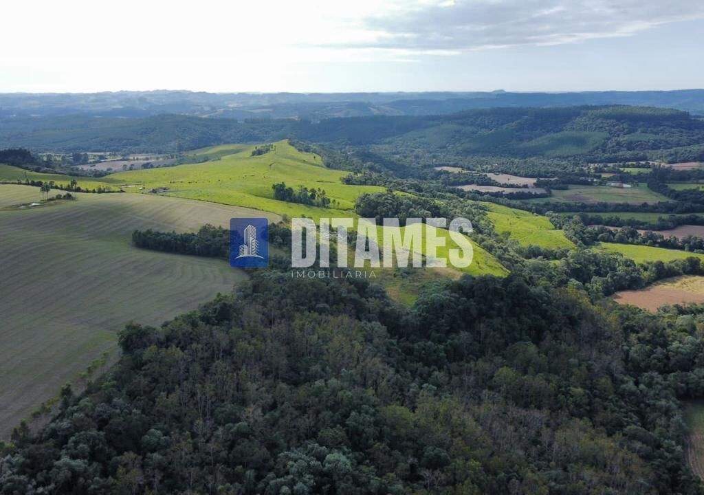 FAZENDA - VENDA - PAPANDUVA - 29