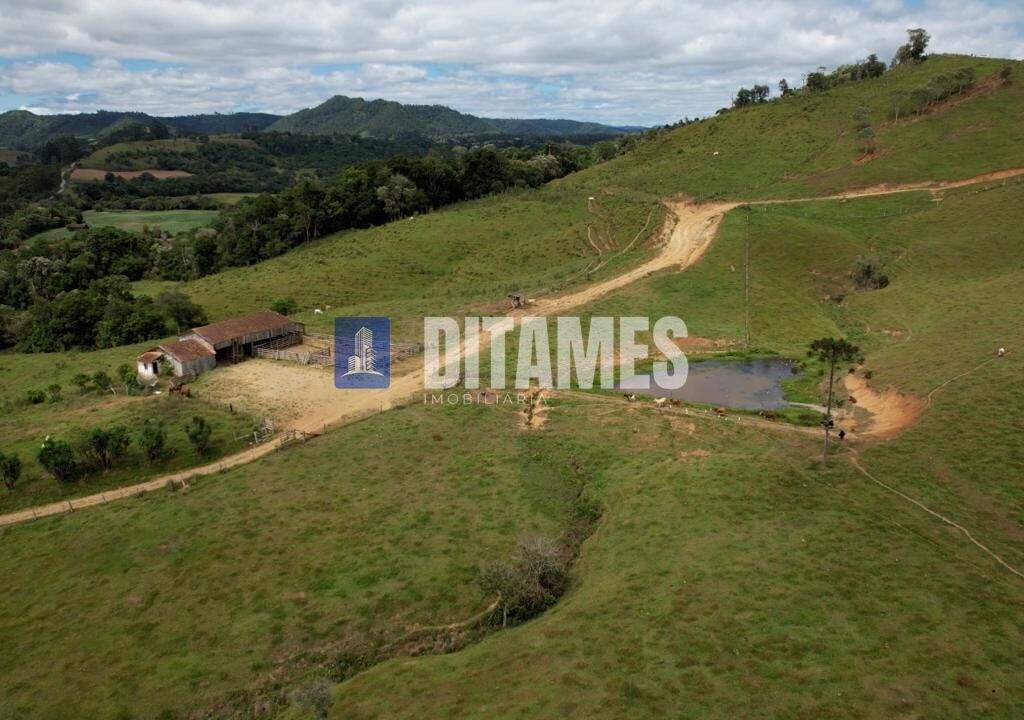 FAZENDA - VENDA - PAPANDUVA - 30