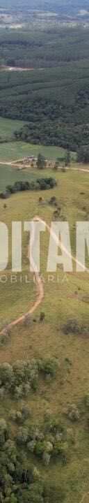 Miniatura 31