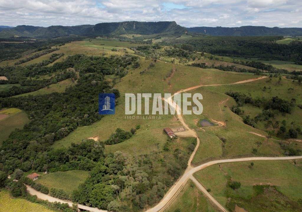 FAZENDA - VENDA - PAPANDUVA - 32