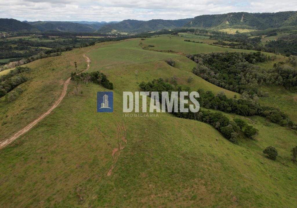 FAZENDA - VENDA - PAPANDUVA - 33
