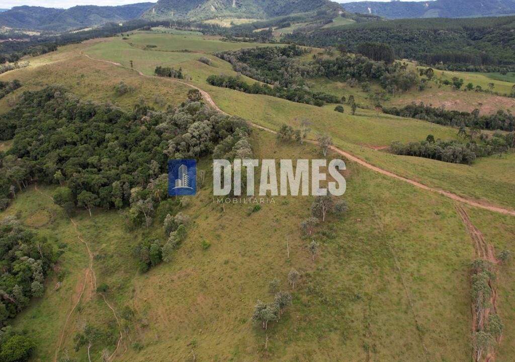 FAZENDA - VENDA - PAPANDUVA - 34