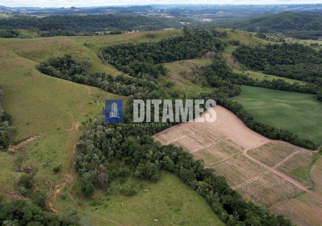FAZENDA - VENDA - PAPANDUVA - 36