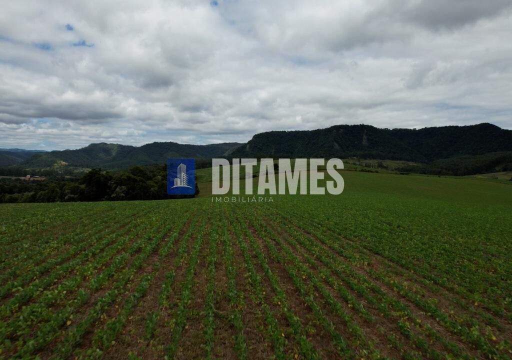 FAZENDA - VENDA - PAPANDUVA - 37