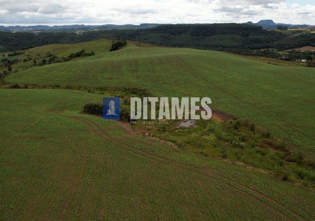 FAZENDA - VENDA - PAPANDUVA - 38