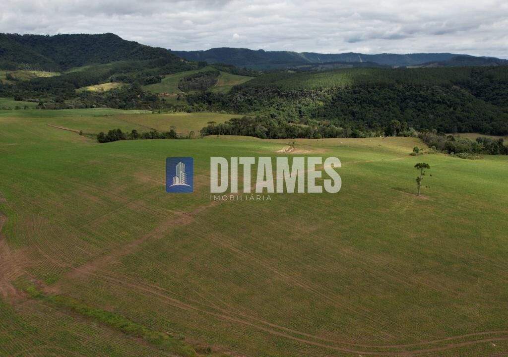 FAZENDA - VENDA - PAPANDUVA - 40