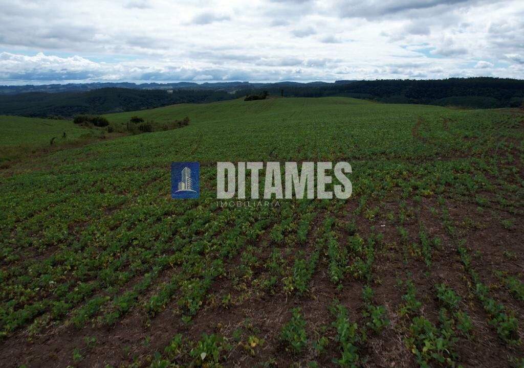 FAZENDA - VENDA - PAPANDUVA - 43