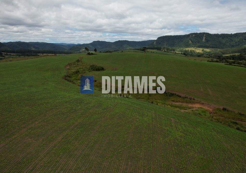 FAZENDA - VENDA - PAPANDUVA - 47