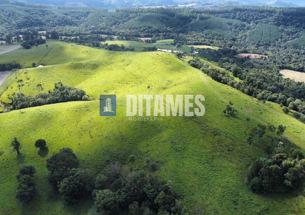 FAZENDA - VENDA - PAPANDUVA - 50